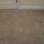 Stained beige carpet near doorjamb before patching